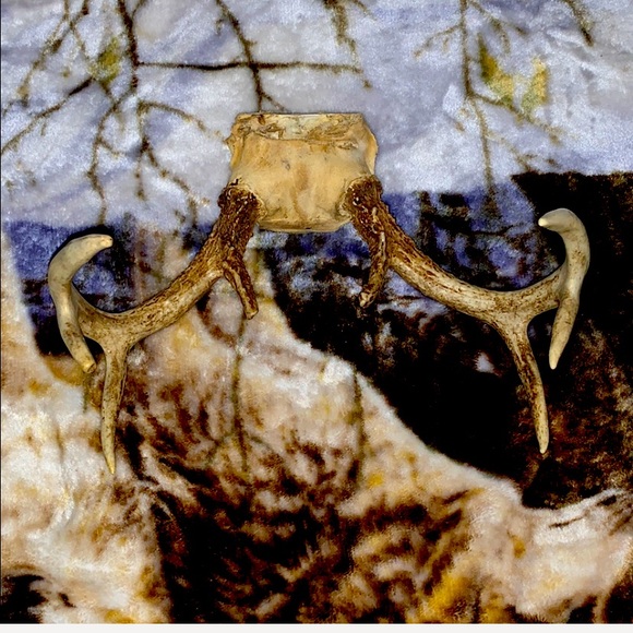 6-8 Point Deer Rack Great for Mounting in Man Cave - Picture 10 of 16